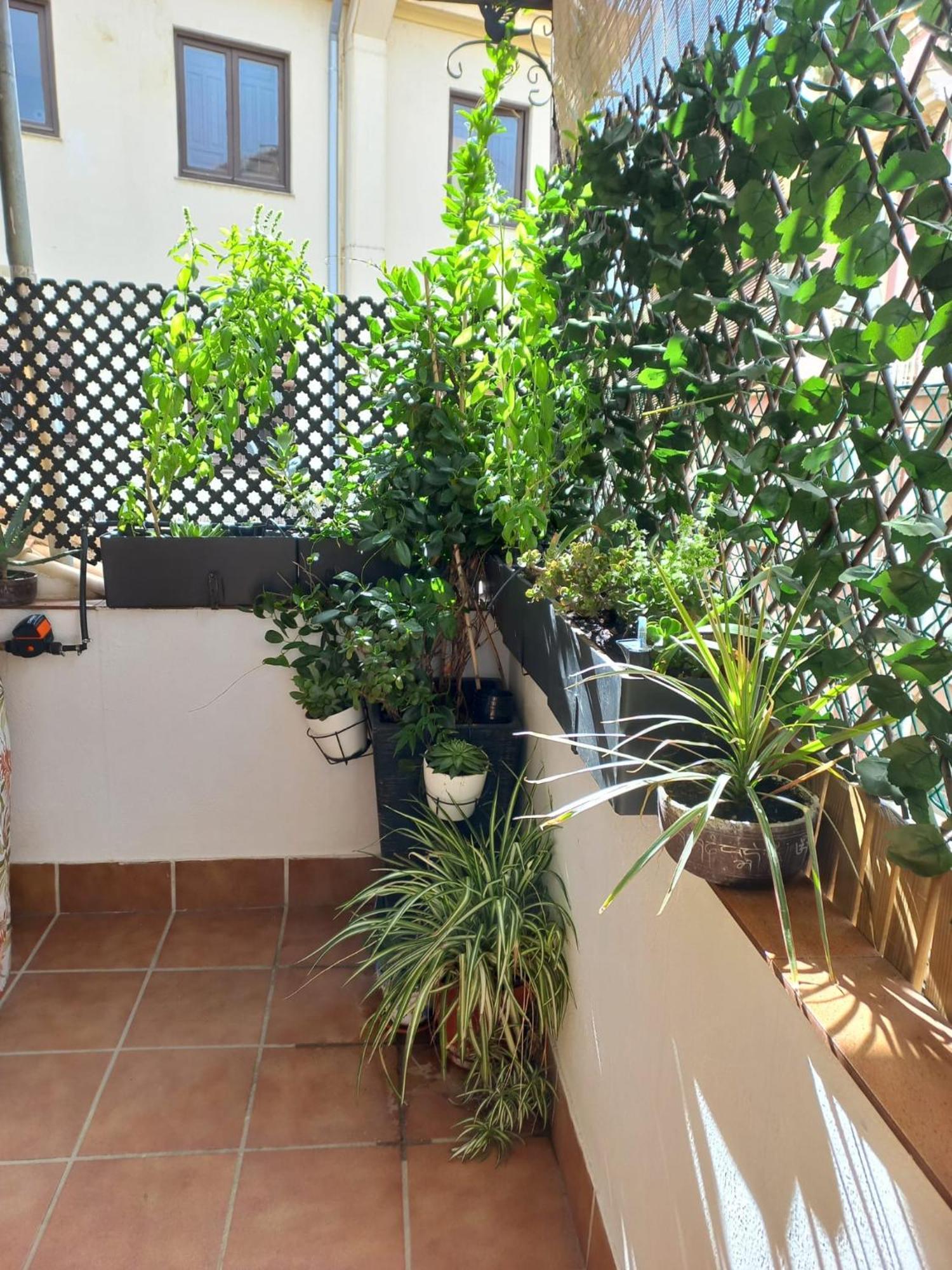 Atico Exclusivo En El Centro De Granada Apartment Exterior photo
